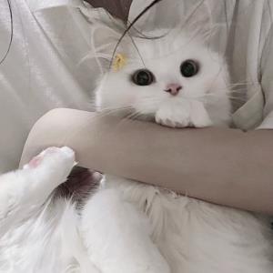 快乐的灵魂
