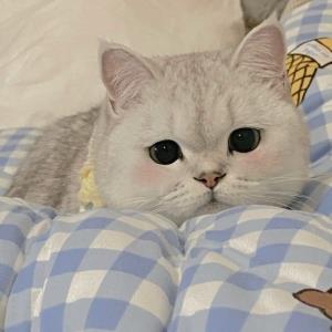 温暖的太阳
