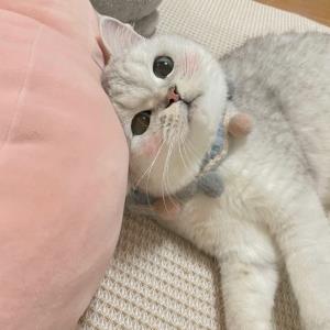 心中的小蚂蟥