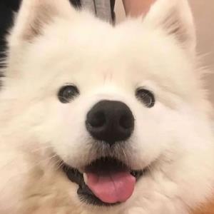 美好回忆