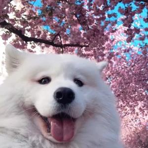 青春无悔