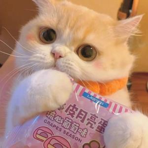 纯情的快乐