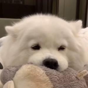 清风徐来