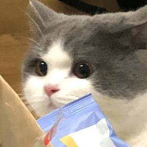温馨的重阳