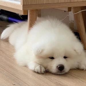风雨同行