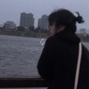 蝶舞华年