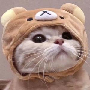 紫罗兰花语