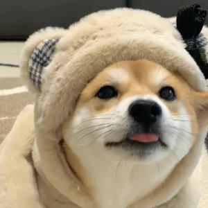 花溪流水