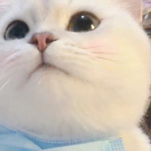 玉琼琳琅