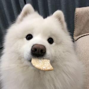 心如止水