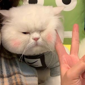 眸子里的星光