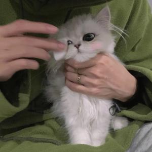 真心彼此