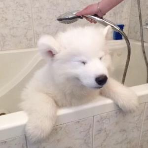 乐天派