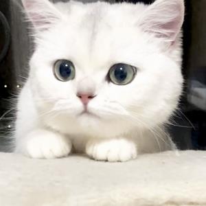 爱上黑夜