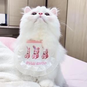 风的旋律