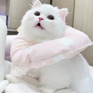 逝去的时光