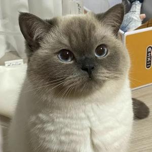 雨夜阑珊