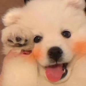 绿色阳光