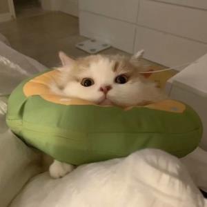 万人迷