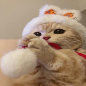 真情至上