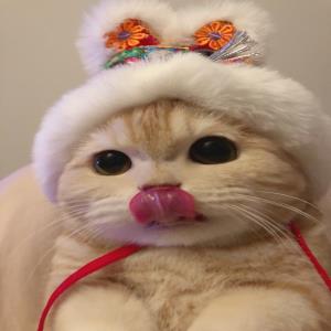 风的挽歌