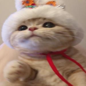 红旗飘扬