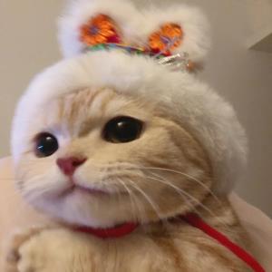 美丽新世界