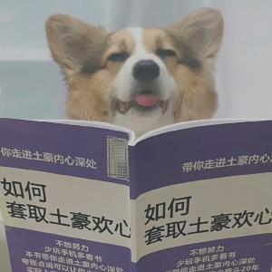 九天之上