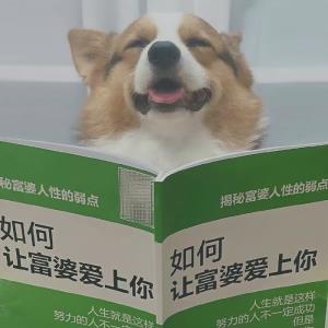 雪域冰心