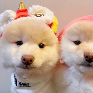 时光飞舞