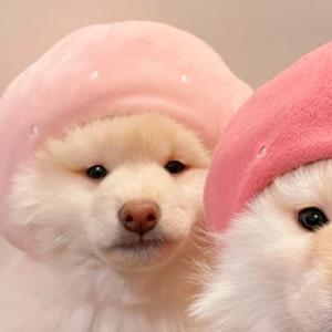 灵感之魂