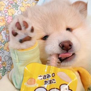 静静等候