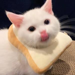 起风了