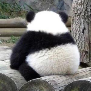 微光流年