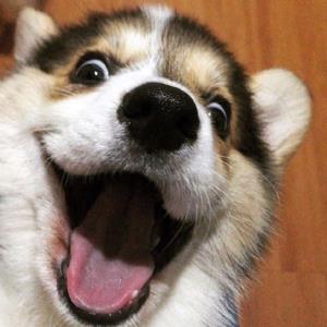 雨中桥