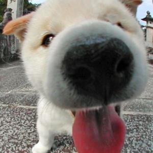 珠光宝气