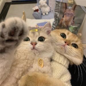 逆流而上