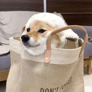 风起云涌