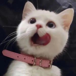 寂寞之心