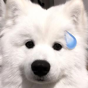 触景生情