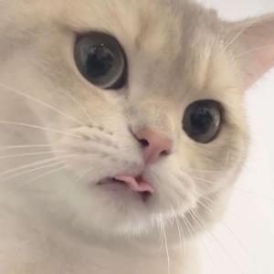 红色情迷