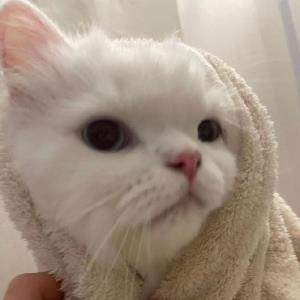 红色记忆