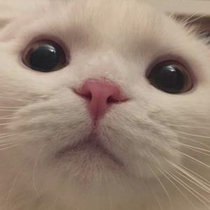 甜蜜时光
