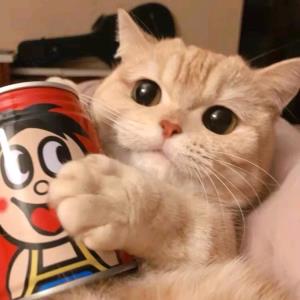红色幻想