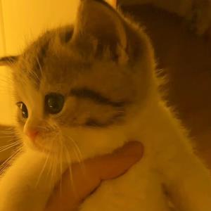 青春之光