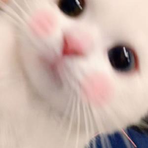 甜蜜梦想