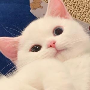 红尘情缘