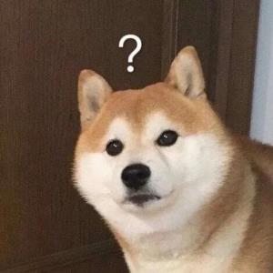 努力奋斗