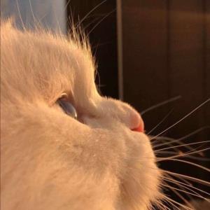 焕发光彩