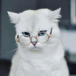 担当未来